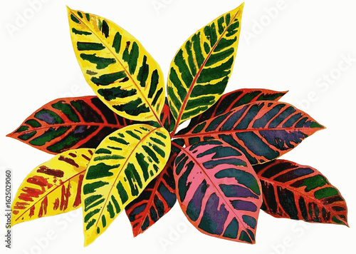 Sunlit Fronds Croton Beautiful leafy tree isolated watercolor vector illustration svg