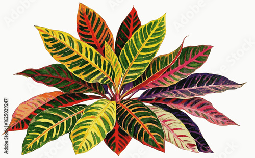 Amber Glow Croton Beautiful leafy tree isolated watercolor vector illustration svg