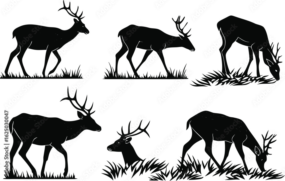 Fototapeta premium Vector art of silhouette vector illustration of deer in various poses grazing and standing in a field of grass