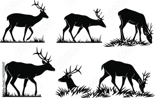Vector art of silhouette vector illustration of deer in various poses grazing and standing in a field of grass