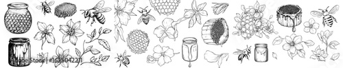 The image depicts a modern honey collection, including a drawing of a honeybee and a jar, alongside a beehive and a dripper spoon, surrounded by chamomile and clover, in a classic hand-drawn style on