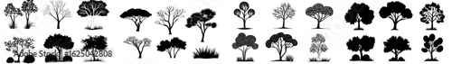 A modern hand-drawn icon set featuring a tree and forest is designed in an outline style, along with garden drawings
