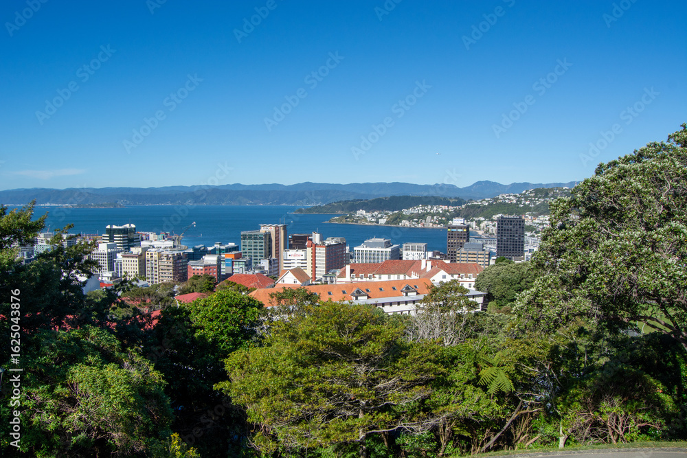 Fototapeta premium Panoramic View of Wellington City and Harbor