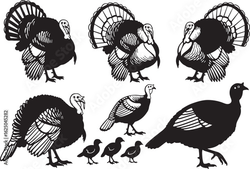 Black silhouette turkeys and chicks on white background, turkey, turkeys, bird, birds, poultry, fowl, wild turkey, domestic turkey, male turkey, female turkey, hen, tom, gobbler, chick, baby bird, bab