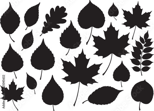 Black silhouettes of various autumn leaves on white background, autumn leaves, fall leaves, leaf silhouettes, maple leaf, oak leaf, birch leaf, rowan leaf, foliage, seasonal, nature, plant, tree, orga