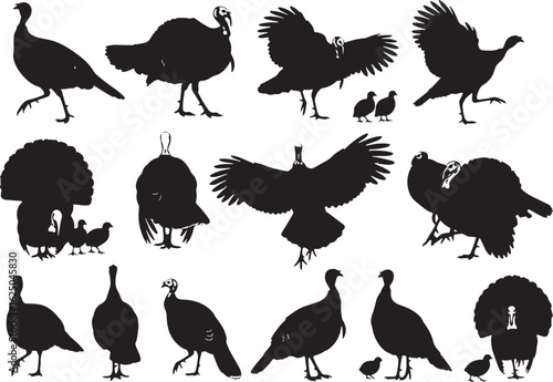 Black silhouettes of turkeys and poults in various poses, turkey, silhouette, bird, fowl, poultry, wild turkey, domestic turkey, poult, chick, baby bird, animal, wildlife, farm animal, agriculture, th