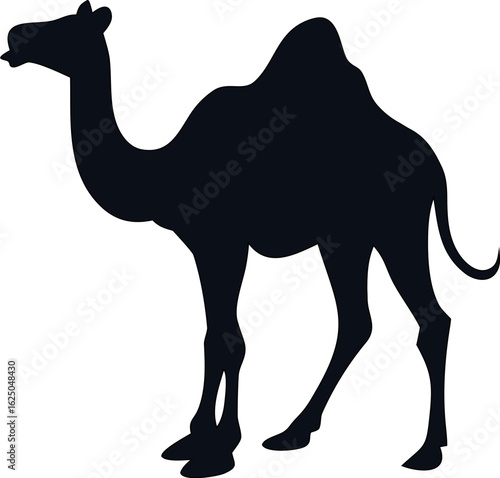 Vector camel silhouette – minimalist camel illustration for use in wildlife graphics, adventure branding, and desert-themed art.

