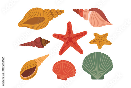 Colorful sea shells set. Starfish and spiral oyster with fancy tracery decoration of interior and fashionable aquarium bright shells of mollusks from ocean floor. Cartoon exotic vector.