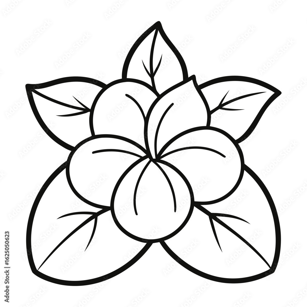 vector illustration of a flower vector illustration of a flower