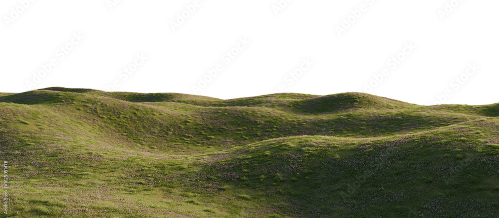 Obraz premium Hills with grass on a transparent background. 3D rendering. 