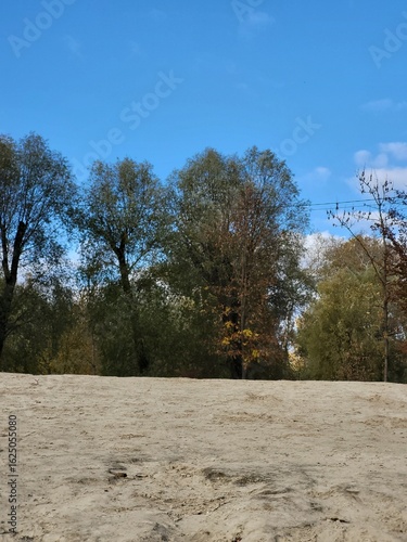 Wallpaper Mural Blue sky with beautiful clouds over the forest Torontodigital.ca