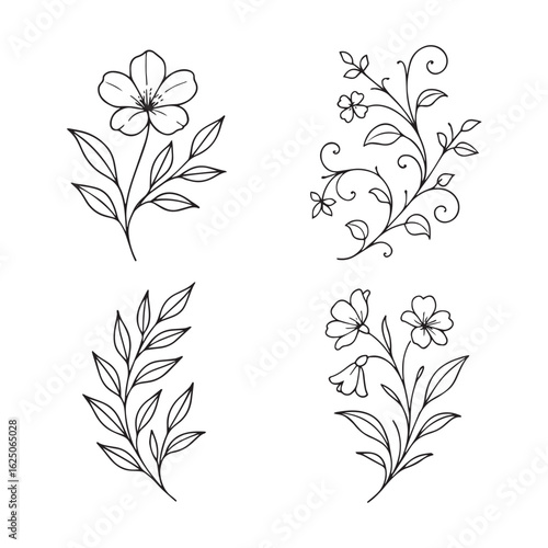 Elegant black and white botanical vector illustrations, delicate floral line art with leaves, flowers, and vines, hand-drawn minimalist style