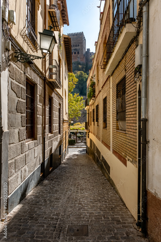 Fototapeta premium Streets and old buildings of Granada in Andalusia (Spain). El Albaicin (or Albayzin). View of the streets and old buildings of Granada historic city of Andalusia (Spain).