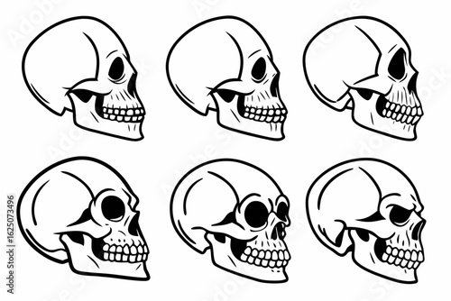 A set of human skull profile illustrations in a monochrome line art style. Isolated skeletal head graphics for anatomy or tattoo design concepts.