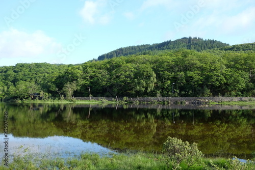 The shores of Loch Achray, Loch Lomond and Trossachs National Park, Scotland, UK