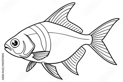 coloring page line art the tetra fish black vector