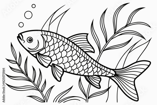 coloring page line art the tetra fish black vector
