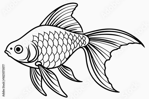 coloring page line art the tetra fish black vector