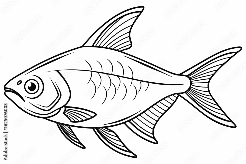 Fototapeta premium coloring page line art the tetra fish black vector