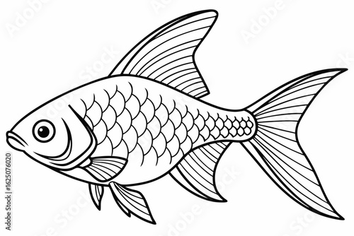 coloring page line art the tetra fish black vector