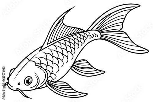 coloring page line art the tetra fish black vector