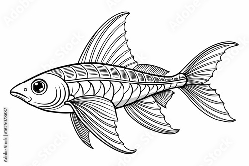 coloring page line art the sword tail black vector