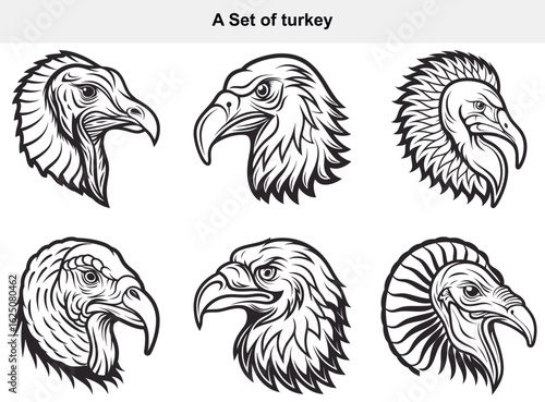 A Set of Detailed Turkey Head Illustrations