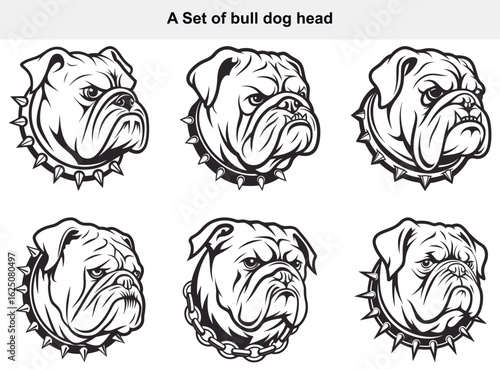 Set of Bulldog Head Illustrations with Spiked Collars