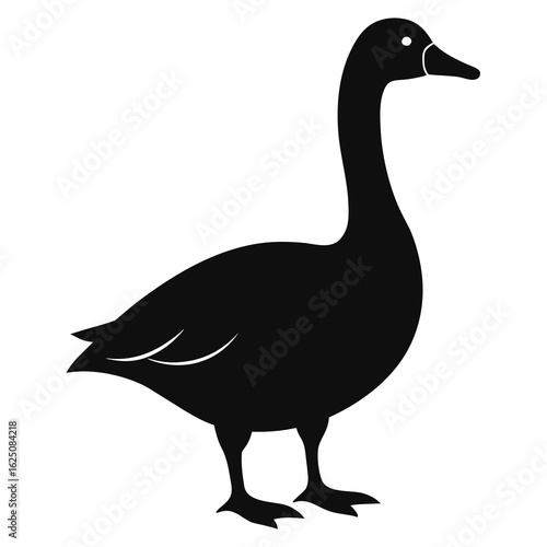 Goose  vector Silhouette on white background 