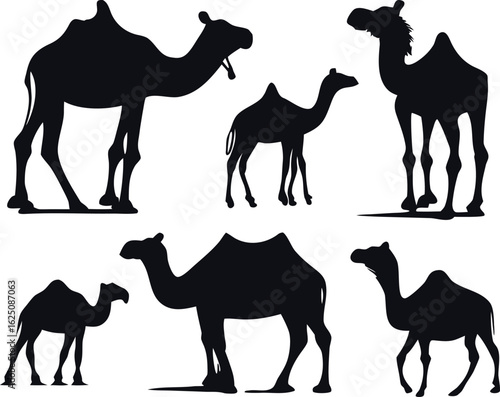 Travel camel vector pack silhouette camel set for desert landscapes, Middle Eastern motifs, and global adventure branding.

