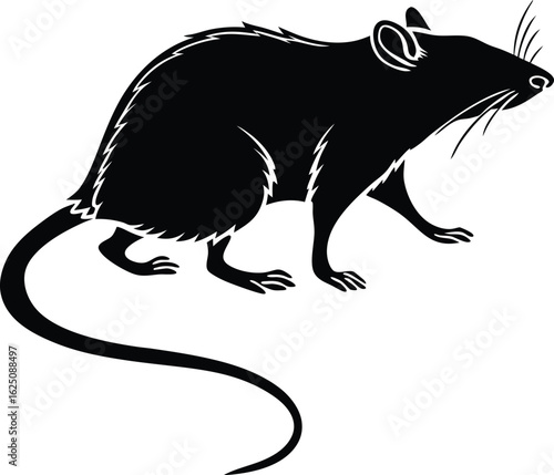 Black silhouette of a rat walking isolated on white background