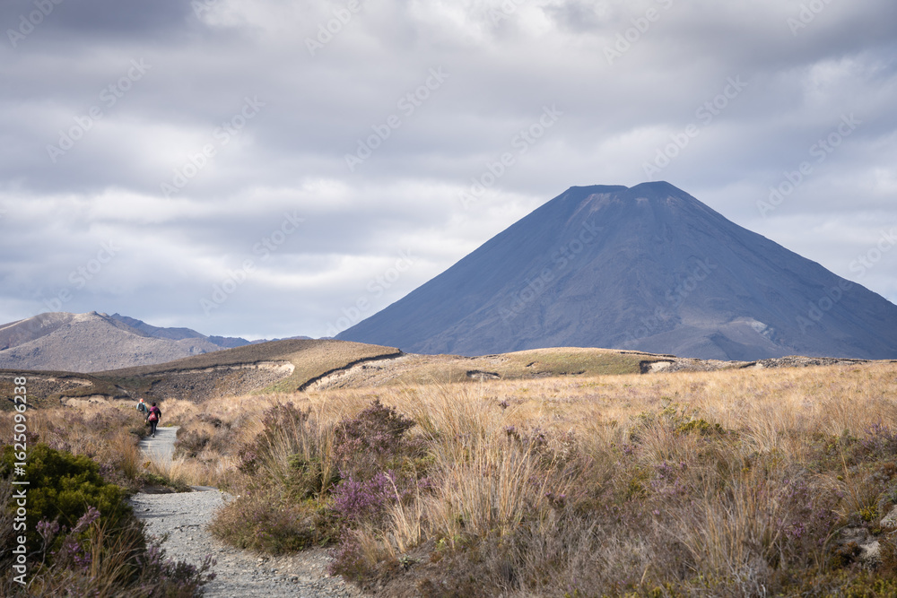 Fototapeta premium Tourists on a trail moving through landscape towards big volcano, New Zealand