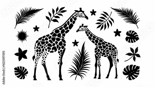 Two giraffes surrounded by tropical leaves and stars in a monochrome black and white illustration silhouette