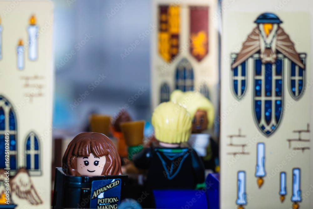 Fototapeta premium Lego Hermione Granger