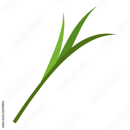 Green grass blades on a white background