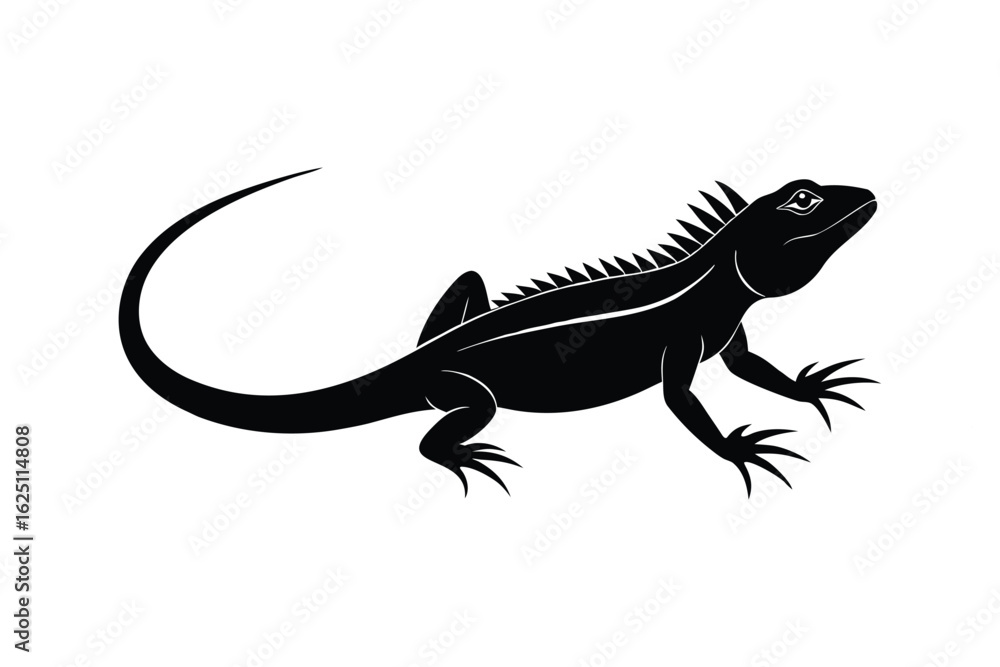 Fototapeta premium bearded dragon lizard