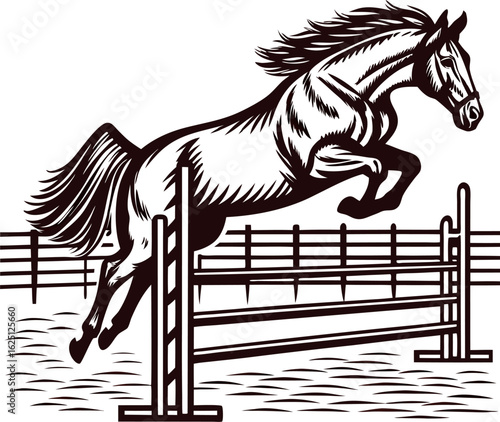 Elegant jumping horse clearing fence in stylized engraving illustration with dynamic motion lines