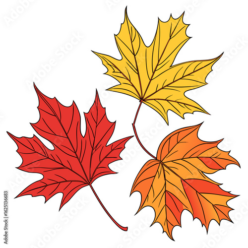 set of autumn leaves