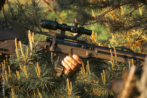 sniper gun in the bush