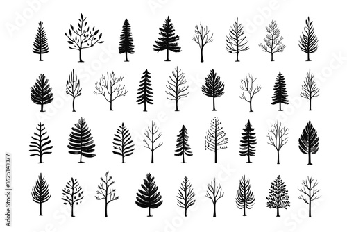 Conifer trees silhouette collection. Set of bundle of trees silhouette. Spruce tree silhouette. Christmas and New Year trees silhouette collection
