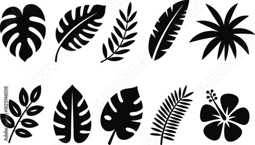 Tropical foliage and flower silhouettes leaves monstera vector illustration.