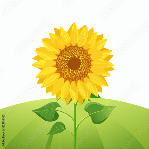 Sunflower blooming naturally in a vibrant field nature bright and cheerful environment