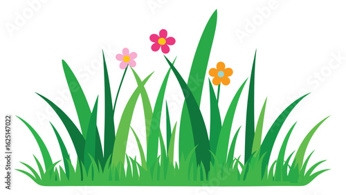 spring grass and flowers