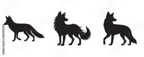 Set of three black fox silhouettes in different poses, standing and howling, isolated on white background, vector animal illustration