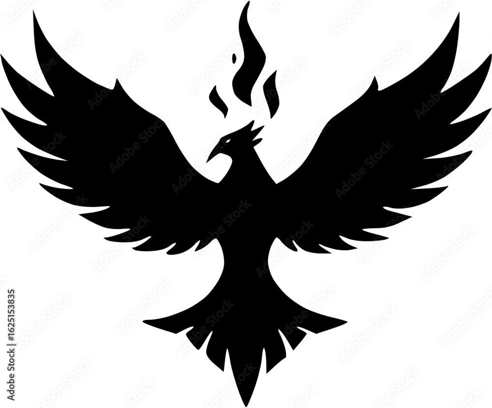 Obraz premium eagle with wings