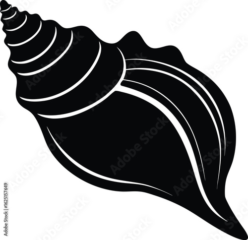 conch shell vector illustration
