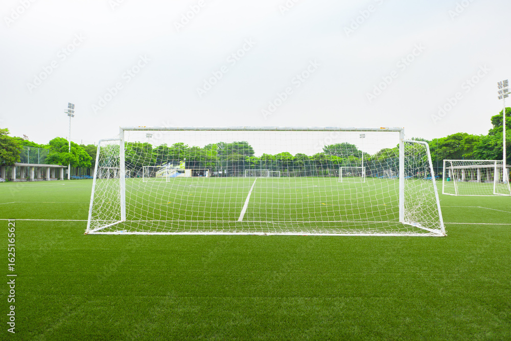 Fototapeta premium soccer goal on a grass soccer field