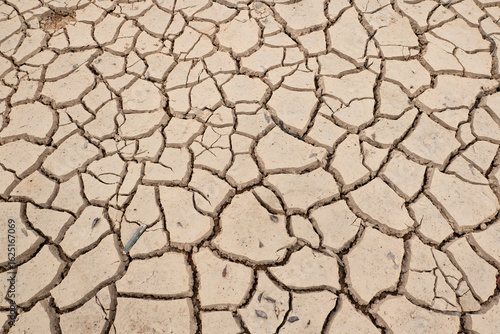 cracked and dried mud as background and texture