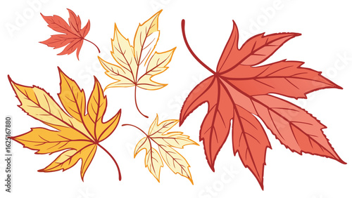 autumn leaves isolated on white