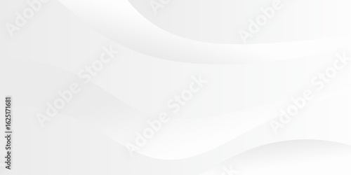 Clean, flowing white wave background.  Modern and minimalist backdrop with smooth, curved lines create a sense of movement and elegance.